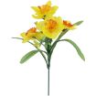 Ky.Narcisx