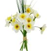 Ky.Narcis minix15