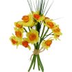 Ky.Narcis minix15