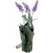 Levandulax3 v črepníku