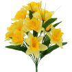 Ky.Narcis