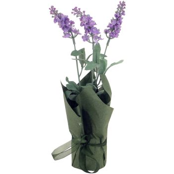 Levandulax3 v repnku