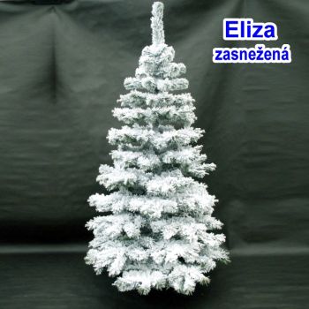 Eliza150 zasneen